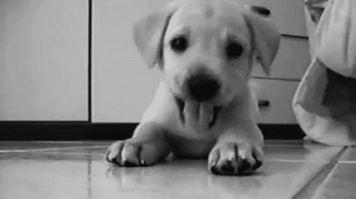 0alsbixmisss
