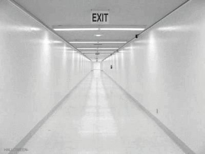 0dxcvbnml