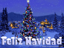 0elmerryhs