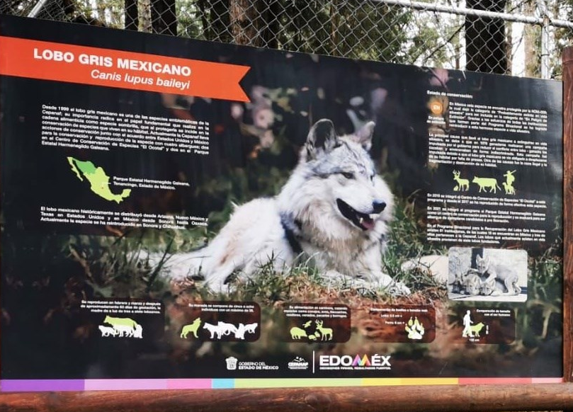 0wolfomexz