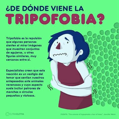9093767c0936d20b247fda959a7231b4