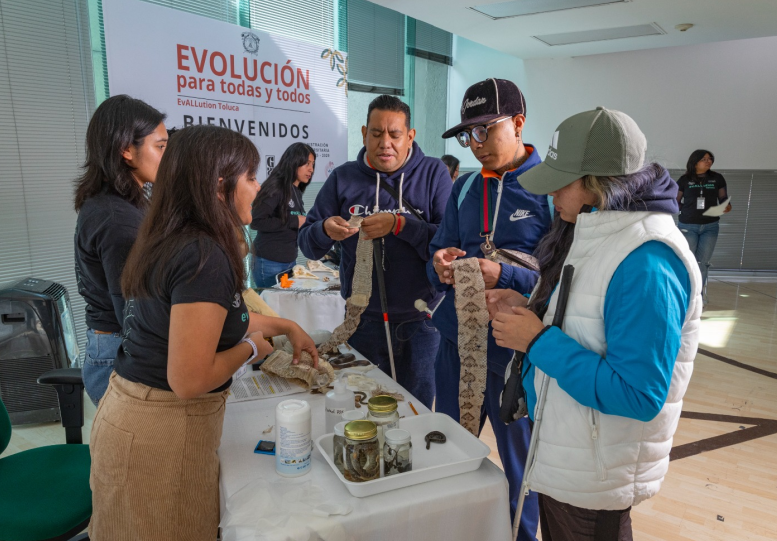 Captura de pantalla de 2025 11 28 08 53 57