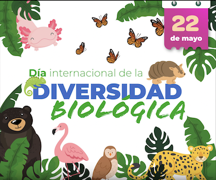 DInternacionaldelaDiversidaBia