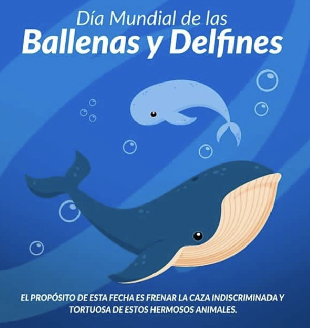 DndiadBallenasylosDelfines