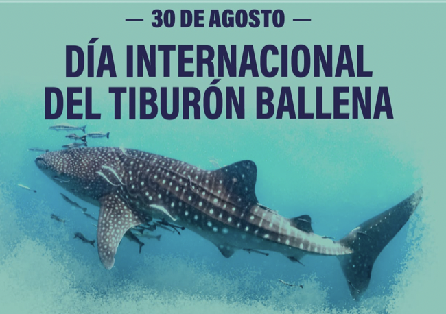 DnternacionaldelTiburallena
