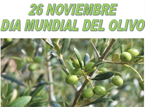 El26denoviembresecelebraelDMundialdelOlivo