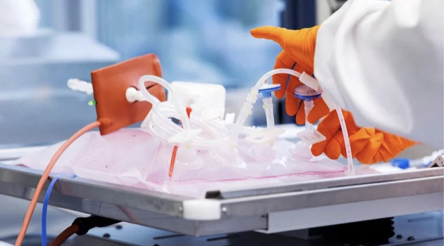 Estas son las tres principales formas de contagio de la viruela símica alertó la Secretaría de Salud