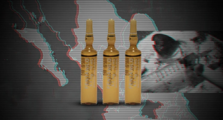 FentanilquengresaEEUUesaficadoporusmismosiudadanoreveestudio