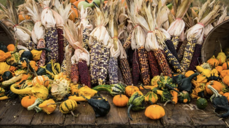 Festival del elote 2022