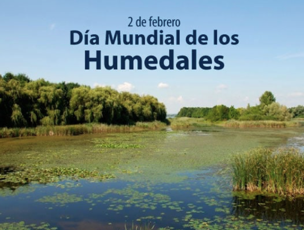 MundialHumedales