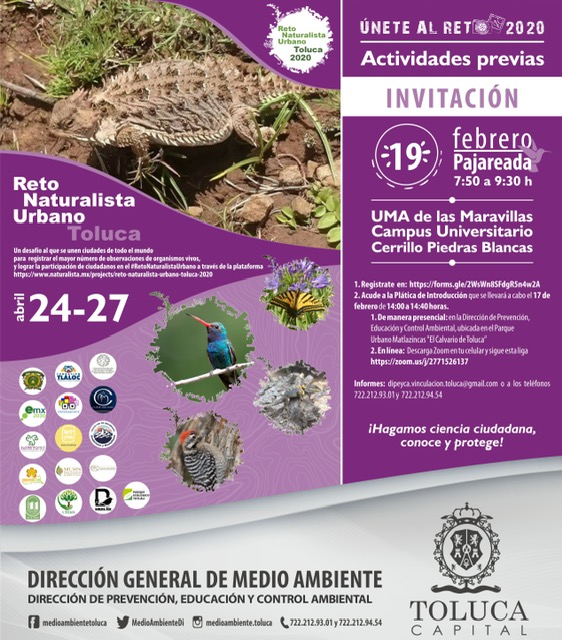NATURALISTA 2