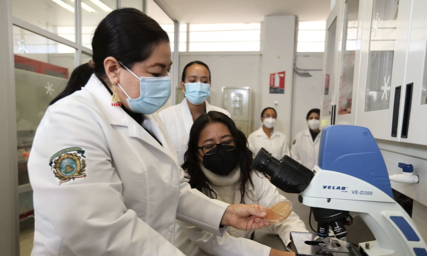NinfaRaezDuraccaUAEnvestigabacterconpotencialproductordmulasdeintersbiico 