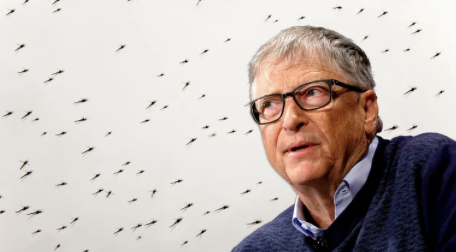 Por qué el mosquito es el animal más mortífero según Bill Gates