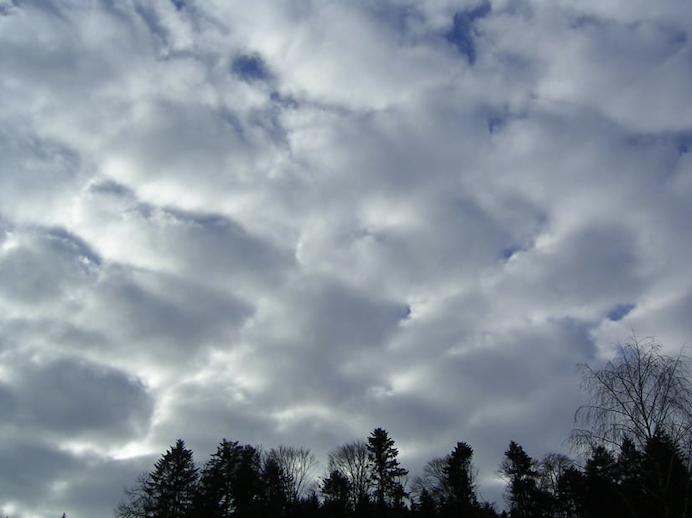 Sabías que gran parte de la lluvia en el país proviene de nubes formadas por hielo