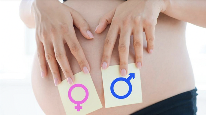 Sabías que la presión arterial de la madre durante el embarazo puede determinar el sexo del bebé