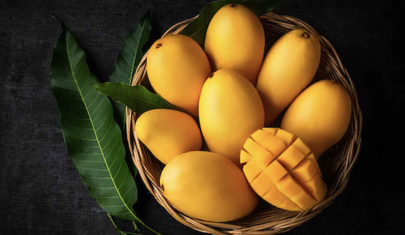 SabsqUnatazademango