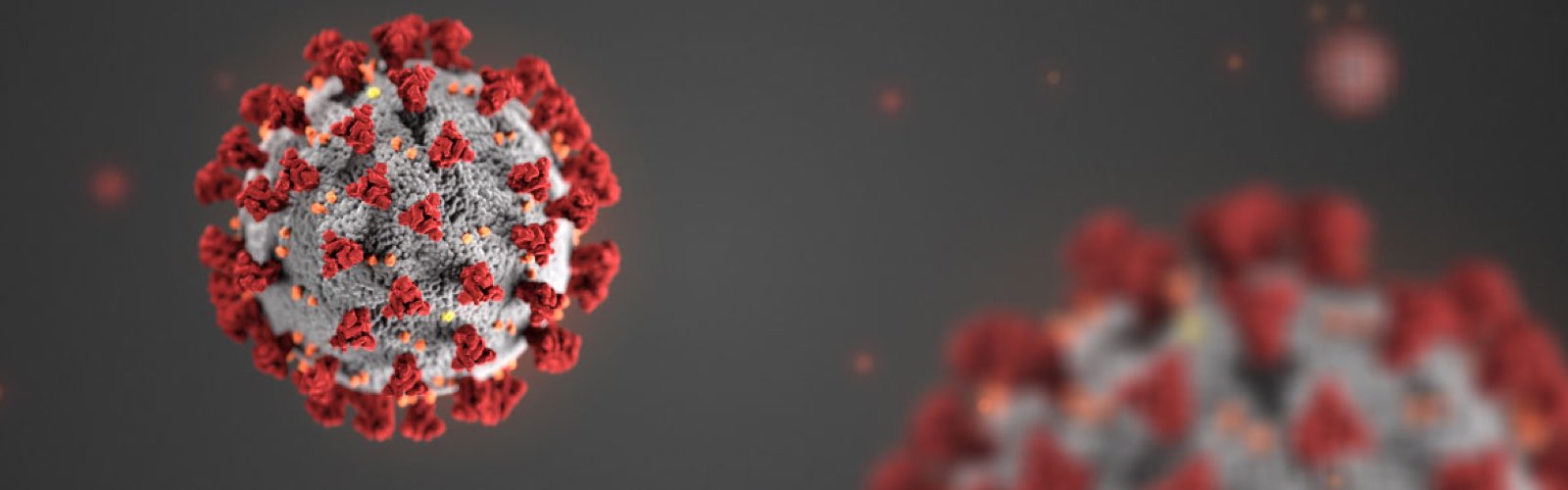 background coronavirus 1600x500