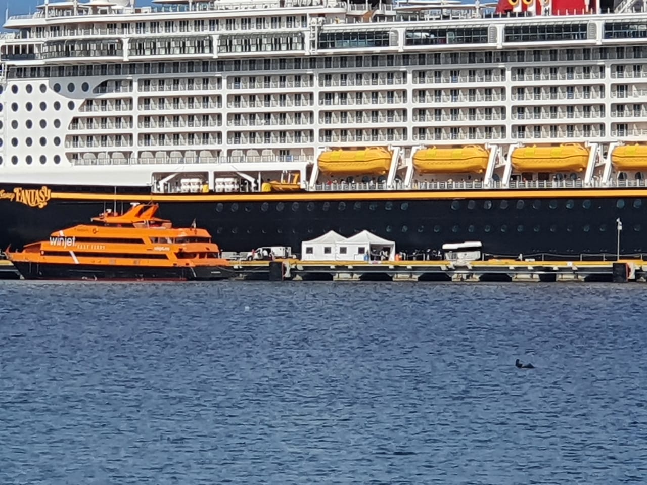 crucero