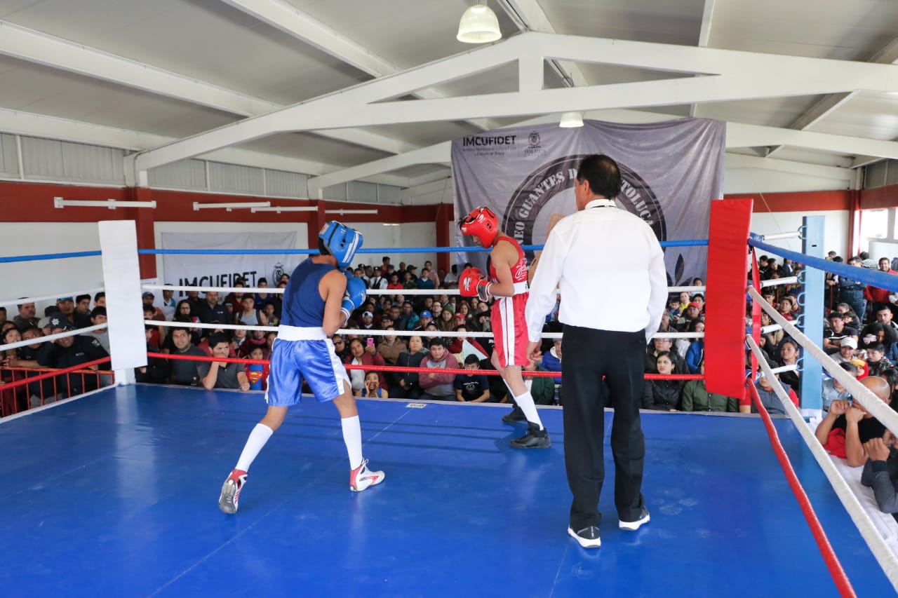 guantes de oro 2020