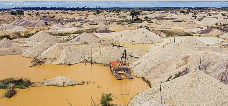 mexicotoxicoamazonas