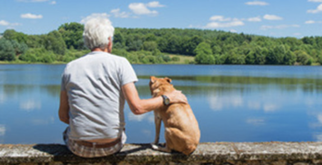 perro y ancianos