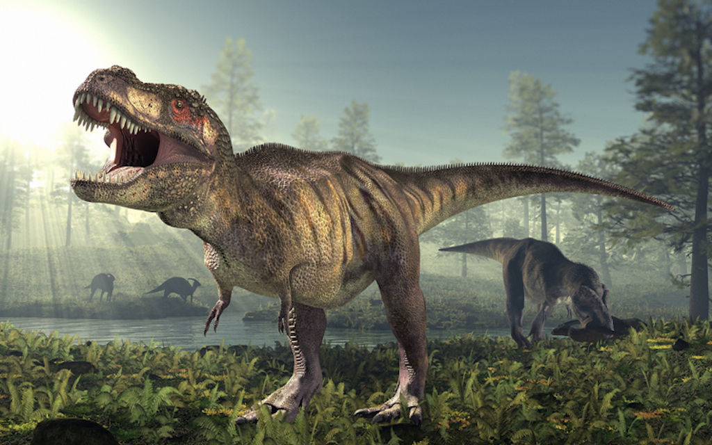 tiranosaurio rex2
