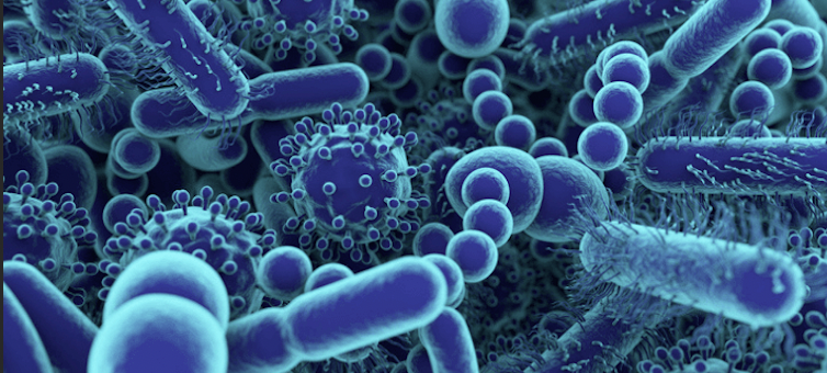 virusybacterias